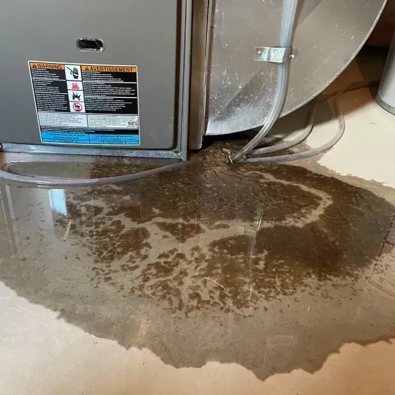 Appliance Leak Cleanup in Ironton, MO